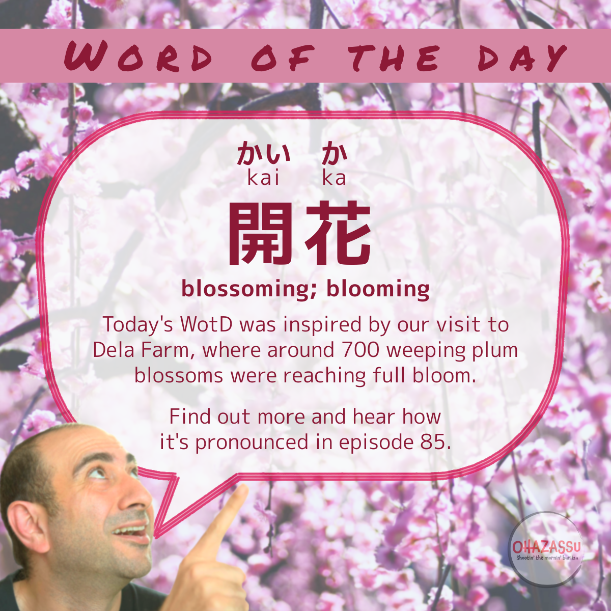 word of the day ep 85